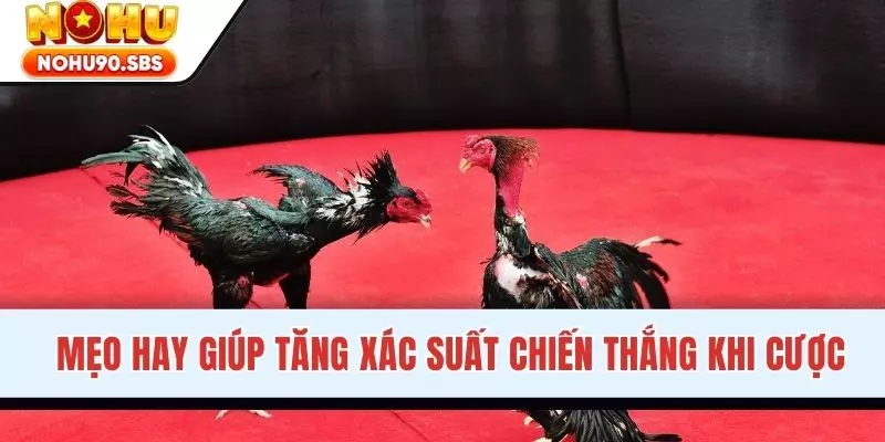 Mẹo hay giúp tăng xác suất chiến thắng khi cược